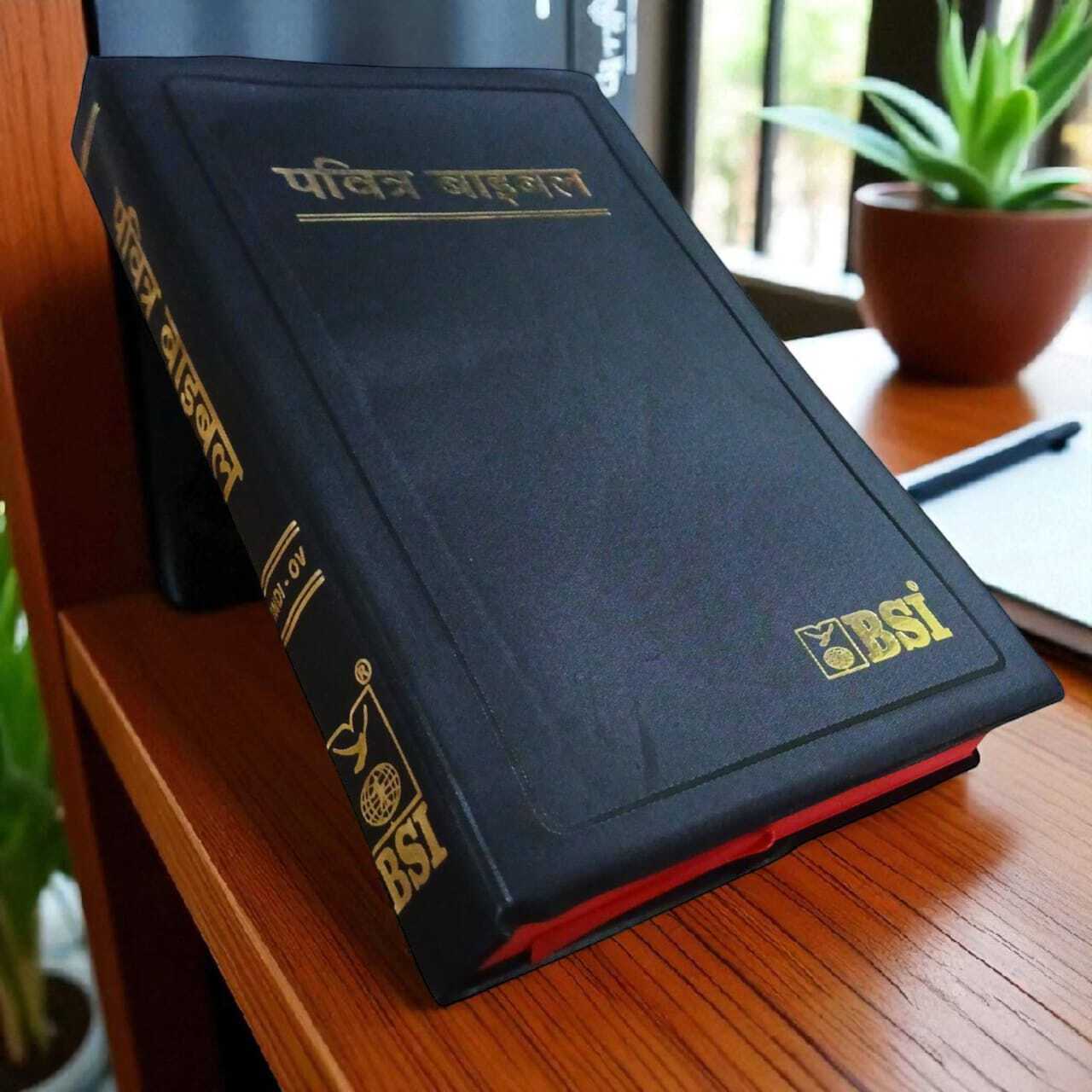 BSI HINDI BIBLE | NEW EDITION BIBLE | NORMAL SIZE BIBLE | RED EGDE BIBLE | PAVITRA BIBLE