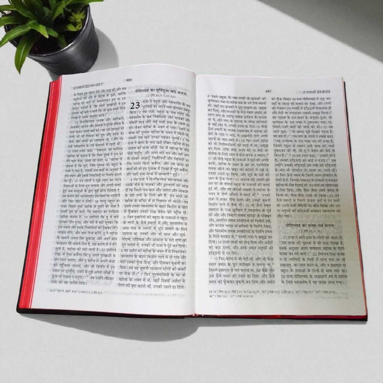 BSI HINDI BIBLE | NEW EDITION BIBLE | NORMAL SIZE BIBLE | RED EGDE BIBLE | PAVITRA BIBLE