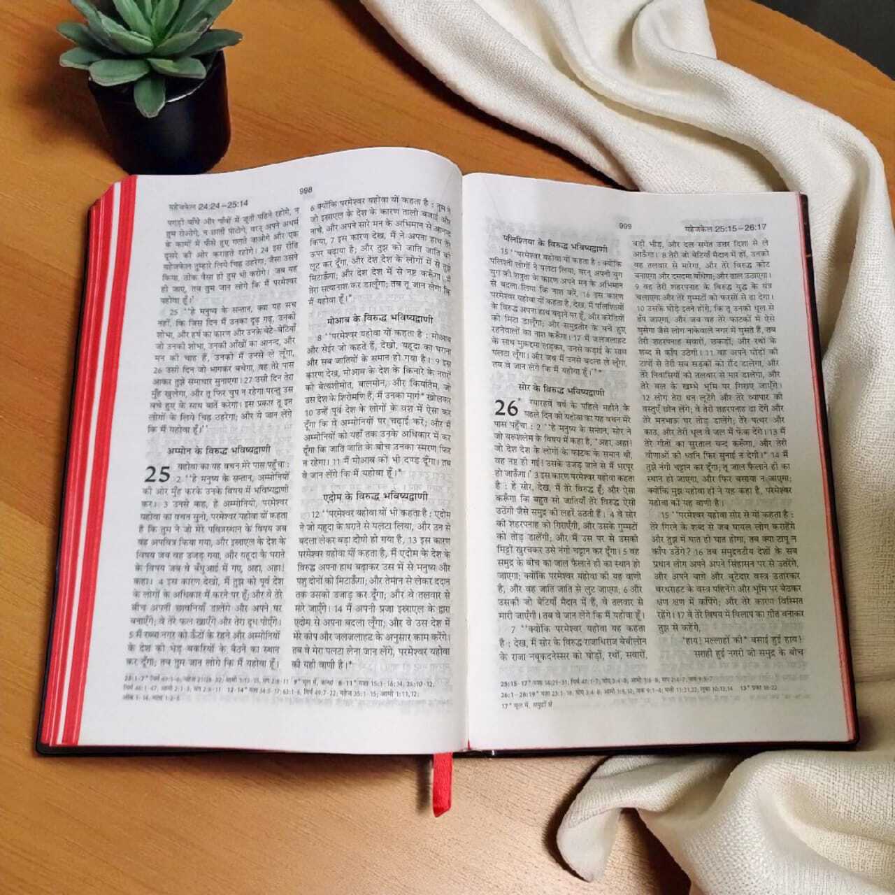BSI HINDI BIBLE | NEW EDITION BIBLE | NORMAL SIZE BIBLE | RED EGDE BIBLE | PAVITRA BIBLE