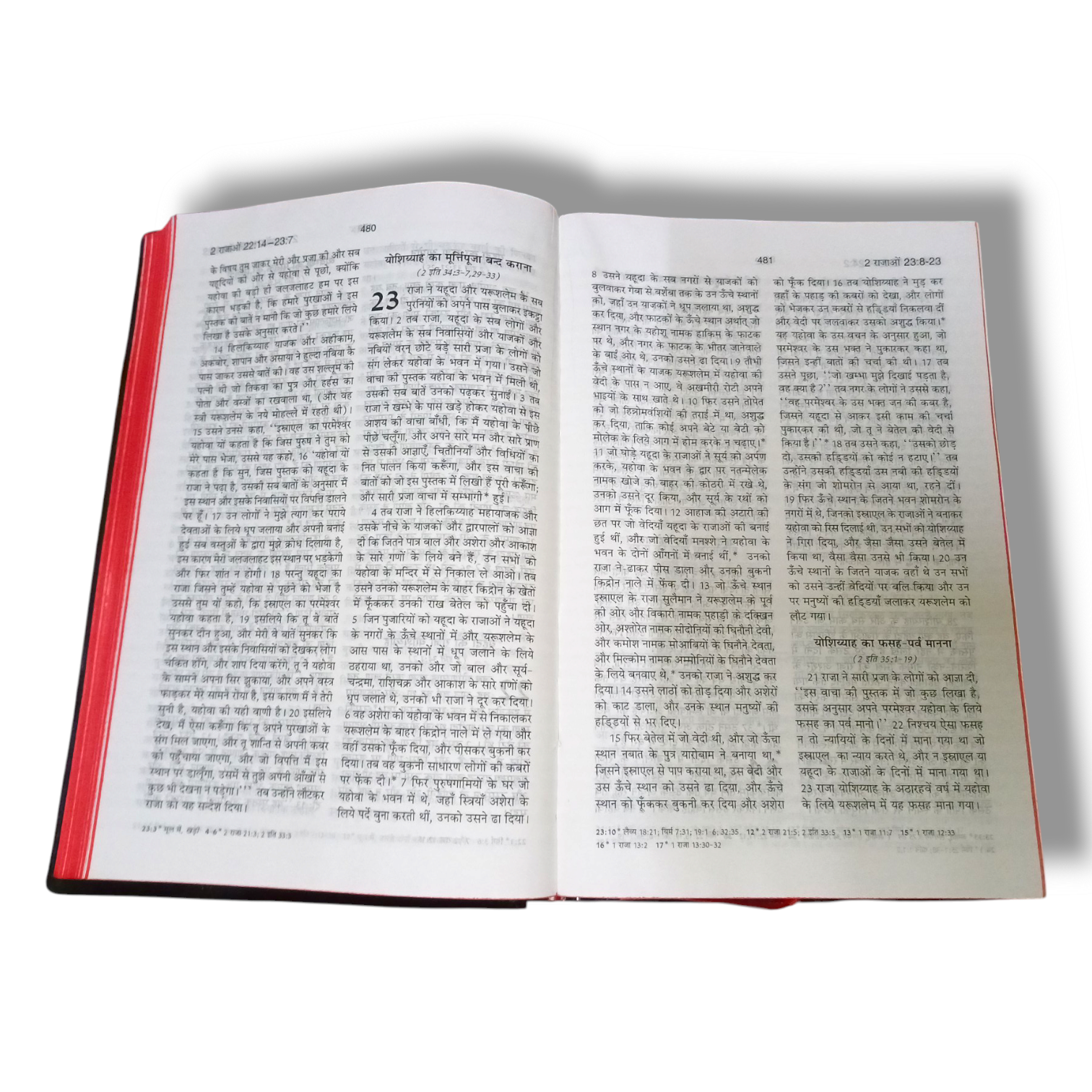 Hindi Bible | Bsi Hindi Bible Pavitara Bible Normal Size