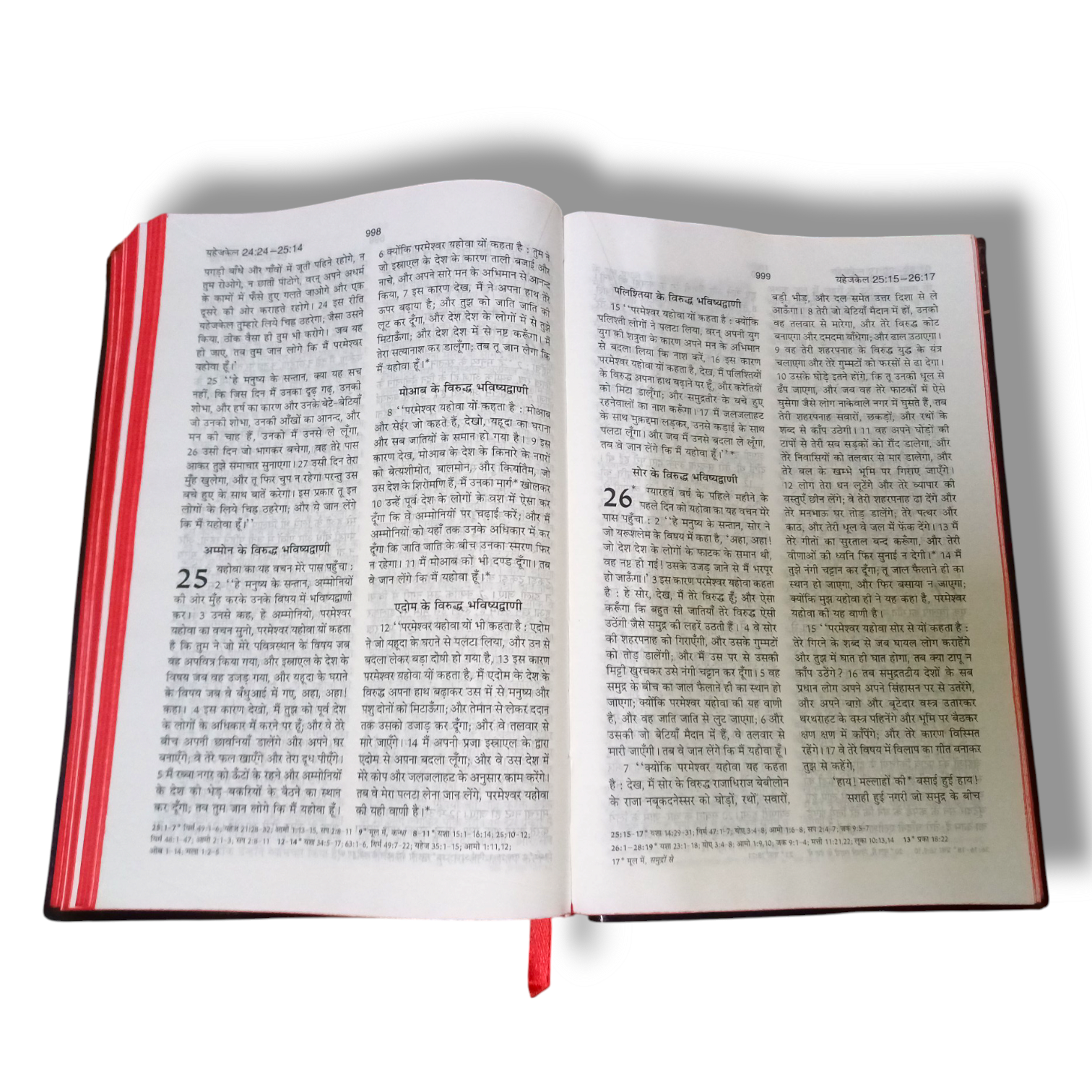 Hindi Bible | Bsi Hindi Bible Pavitara Bible Normal Size