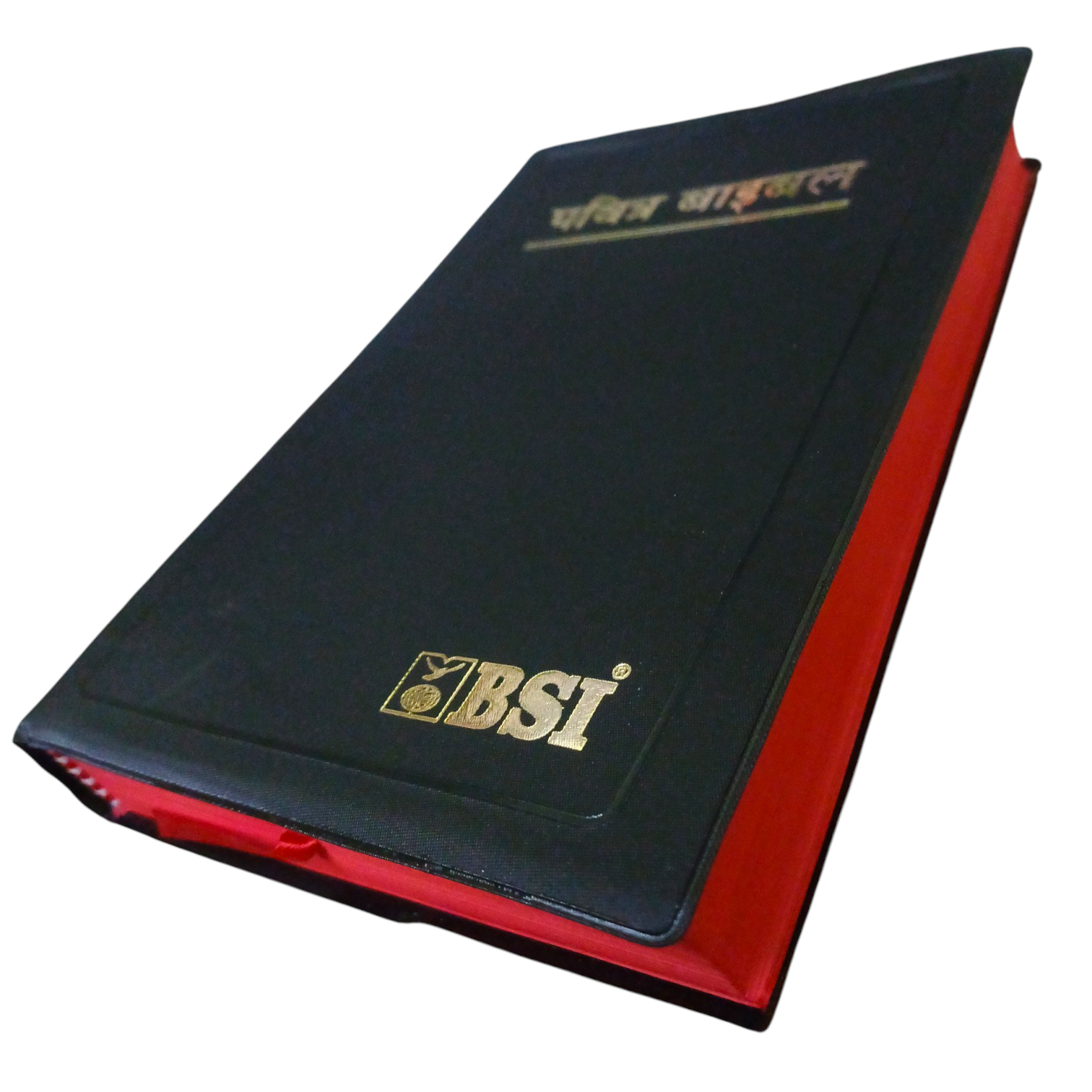 Hindi Bible | Bsi Hindi Bible Pavitara Bible Normal Size