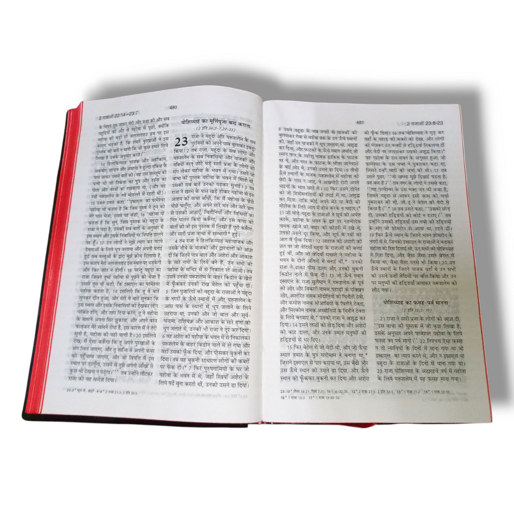 Hindi Bible | Bsi Hindi Bible Pavitara Bible Normal Size