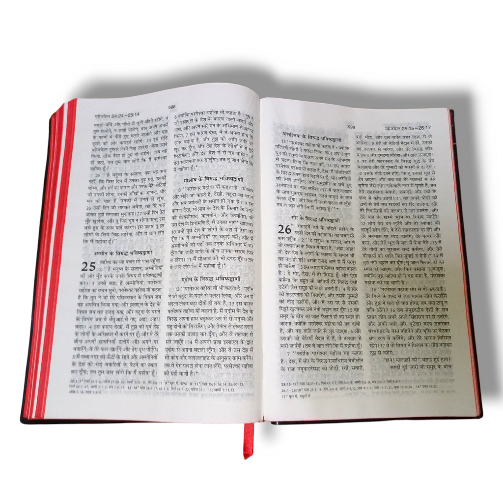 Hindi Bible | Bsi Hindi Bible Pavitara Bible Normal Size